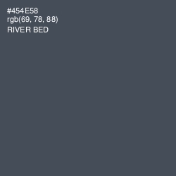 #454E58 - River Bed Color Image